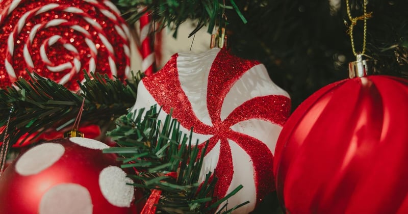 Christmas Cheer from FresYes Insider