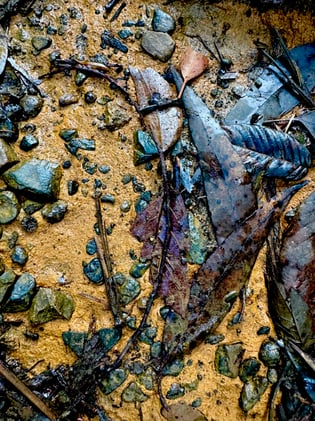 Hot Soil Scientists: Clay, bacteria, foliage and lime!