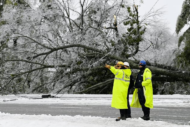 Nashville Electric CEO Pushed Tree Canopy Agenda Months Before Ice Storm Blackout