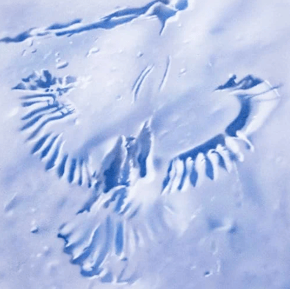 Daily Edit | October 30