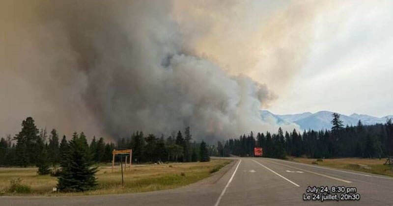 🔥Wildfire Watch