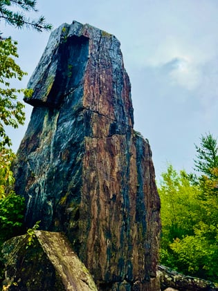 Here's How You Get Home