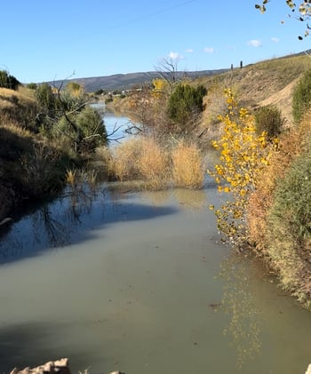Seeds of Knowledge: From Compost to Watersheds