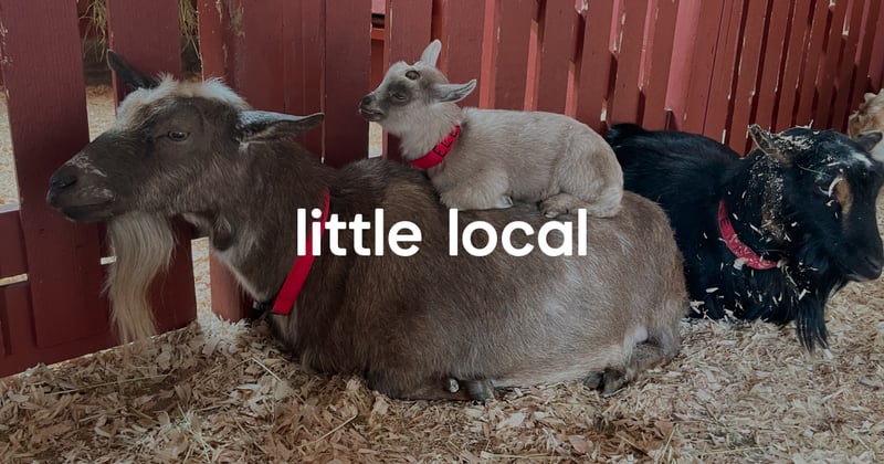 Little Local - March 19