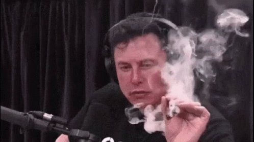 The Fall of Elon Musk