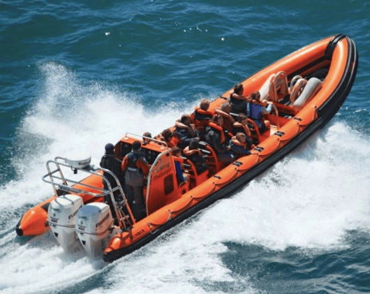 Ilfracombe Sea Safari, Sir Rod, Demon Dentist