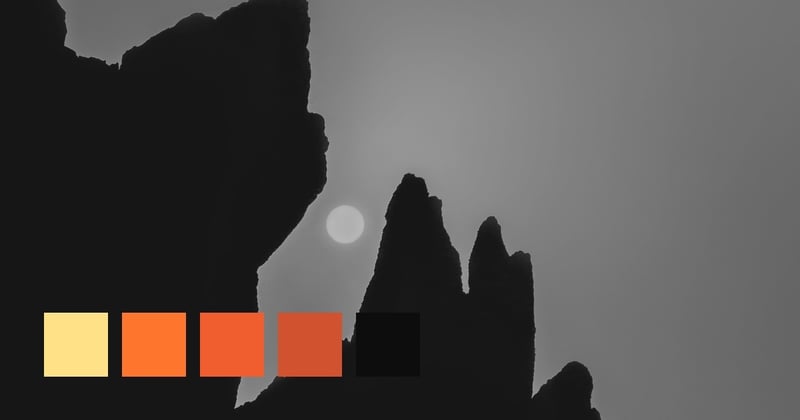 An Environment Rich In The Color