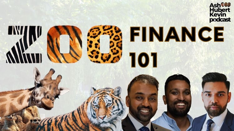 Behind the Scenes of Sydney Zoo’s Finance Build...
