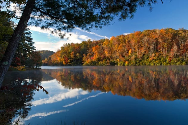 Catch More From the Bank With These Strategies