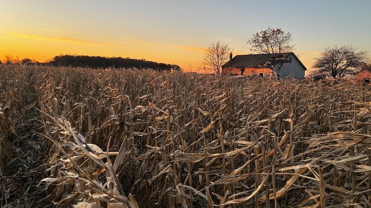 This Morning's Bulletin — 11.12.25