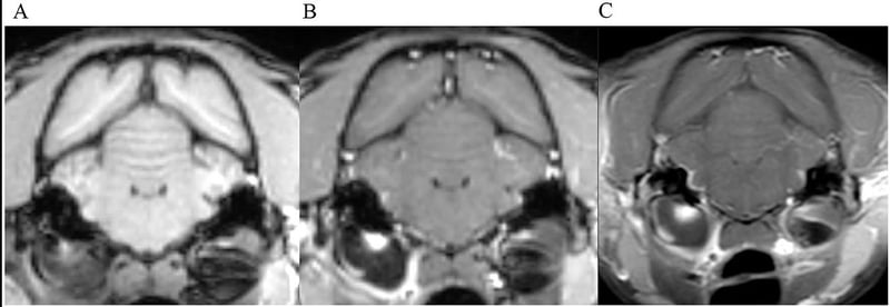 Fat-Suppressed MRI Outperforms 3D-GRE for Detecting Meningeal Disease in Cats and Dogs