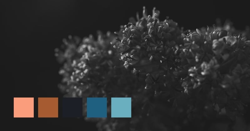 San Francisco, CA, USA