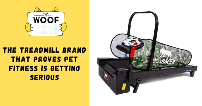 The Treadmill Brand That Proves Pet Fitness Is Getting Serious