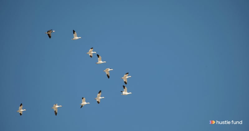 The great VC-to-Angel migration