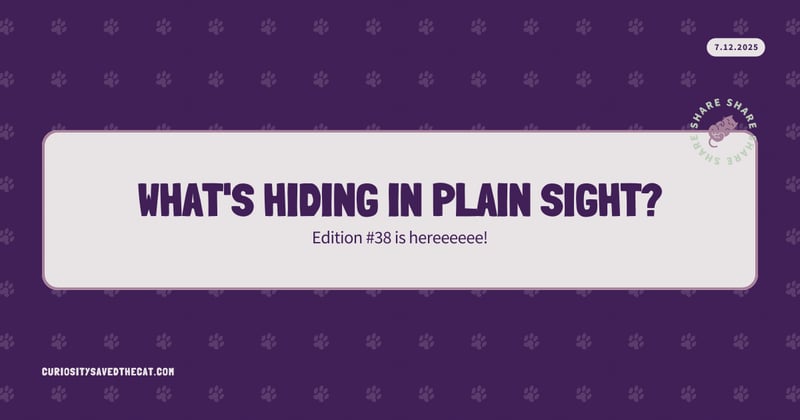 #38: What's Hiding in Plain Sight?
