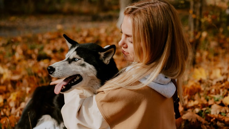 🐕 A must-add to your dog's routine