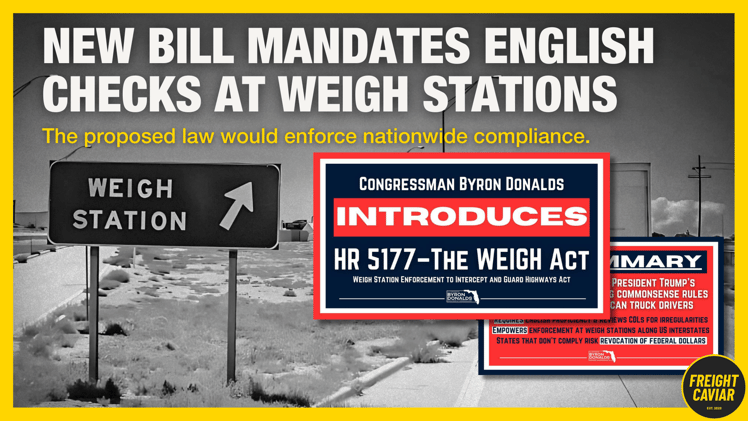 🎣 Weigh Station English Test