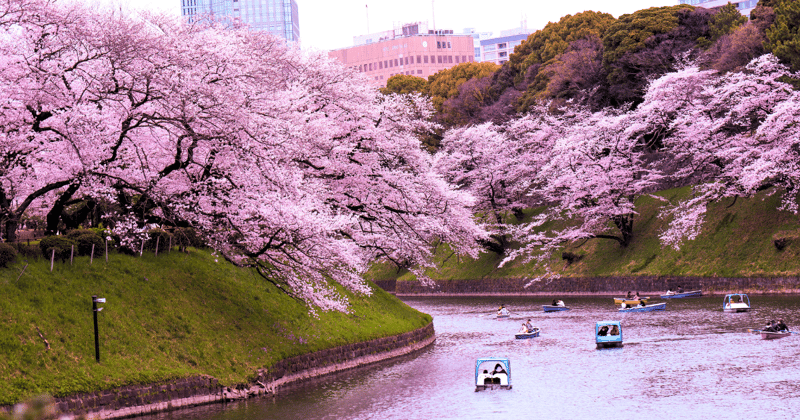 Japan's Growth Slows Down