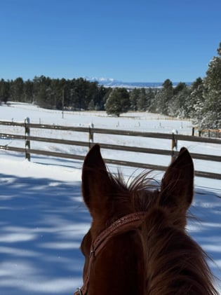 🤠 Snow, Sun & Spring Break Ahead
