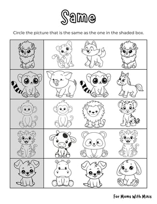 Same vs Different Baby Animals