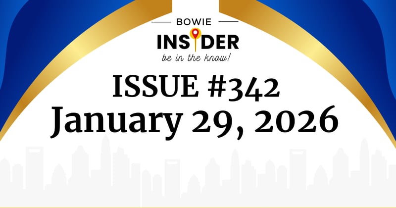 Bowie Insider Issue #342