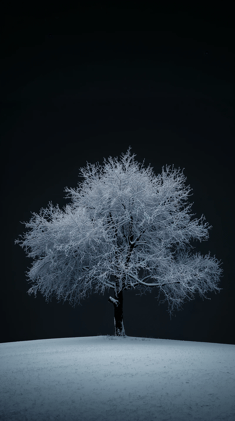 ❄️Armsat ja rahurohket Pühadeaega 🙏