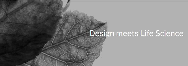 Storing Data in the Garden