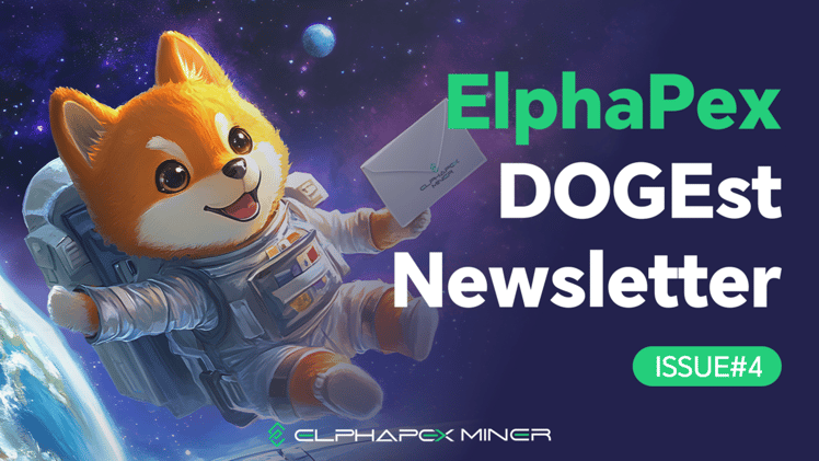 DOGEst Newsletter - Issue #4 