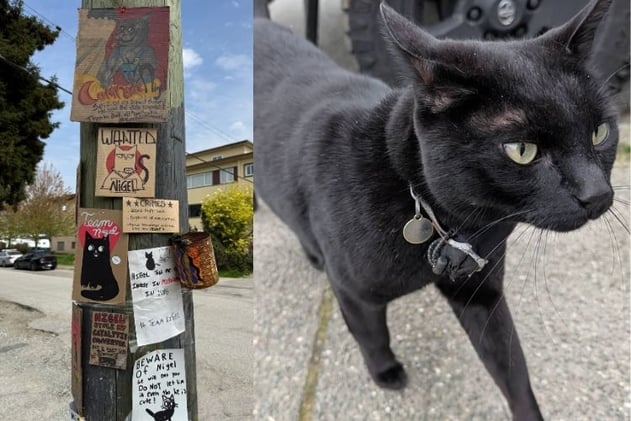 The legend of Nigel grows in Grandview-Woodland