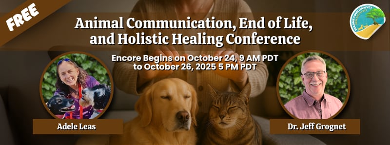 Just 2 Days Until the Encore