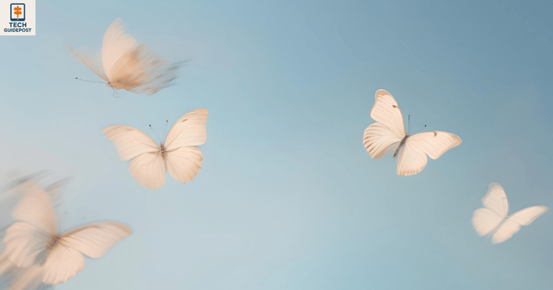 What Happens to Your Facebook After You Die?