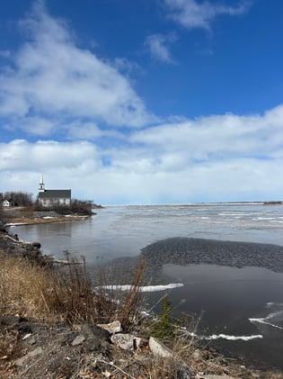Robins, Biscuits & Happy Easter!  