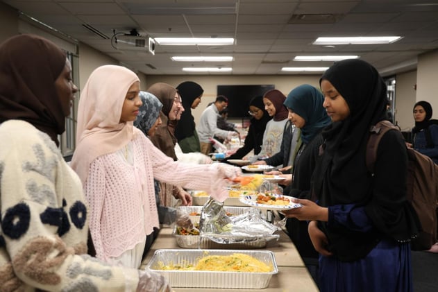 Daily SpringBreakdown