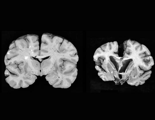 Issue 98: A Bulletin for Big Ideas and Better Business