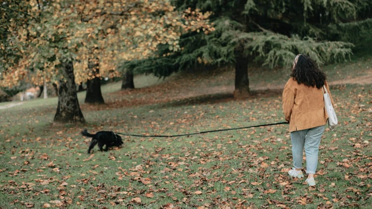 🐕 Are you walking your dog enough?