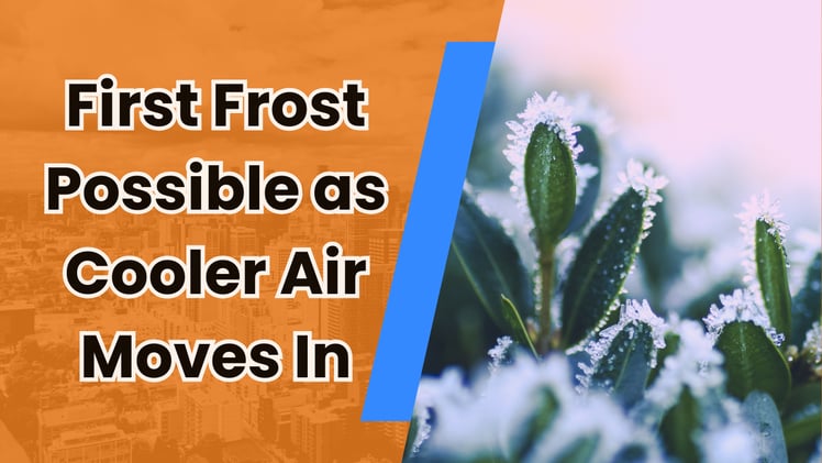 🧊 From 60s to freezing: are we all feeling the wild weather?