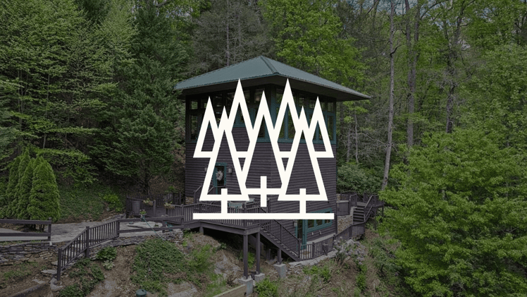 ๐๏ธ Lost In The Woods: Forest Airbnb Investment Gems โ #942