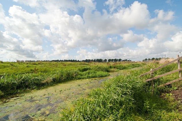 🐝 Half-Term Hotspots