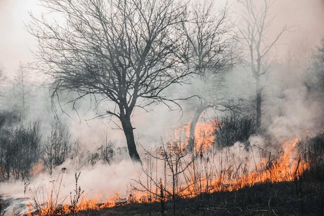 Datos clave sobre los incendios en España