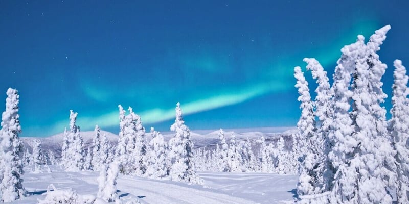 Looking for a White Christmas?