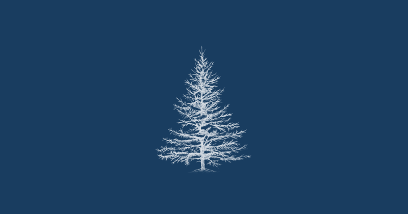 MSKTH Monthly: January