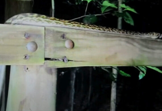 Newsport Alert Friday 23 May 2025