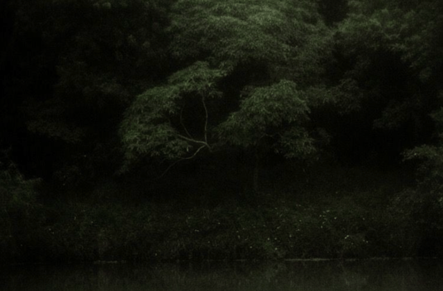 🌱 Gyökerek, felismerések és közösség – így született meg a ROOTS mentoring nap