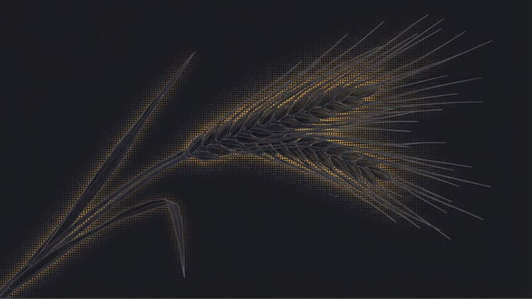 🗞 The Best-Run Beer Company in America (Warren Buffett Owns 8%)