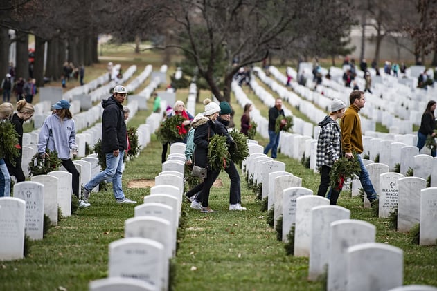 Ho Ho Whole New VA Reauthorization