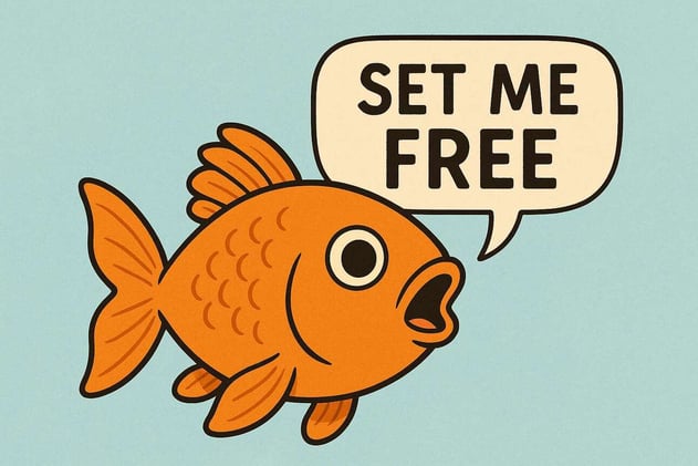 What’s In a Frame?