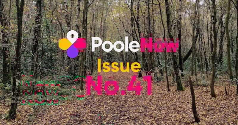 🌊Issue No.41: Christmas Magic Comes to Poole This Weekend