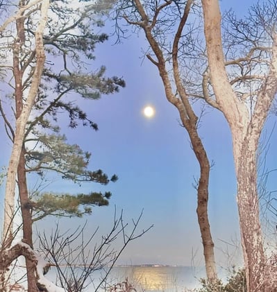 ☀️ He hated lobstering, now he owns 300 traps