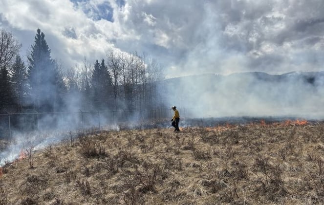 Spring Warmth Pushes Wildfire Risk to ‘Moderate’ Across Bow Valley Region