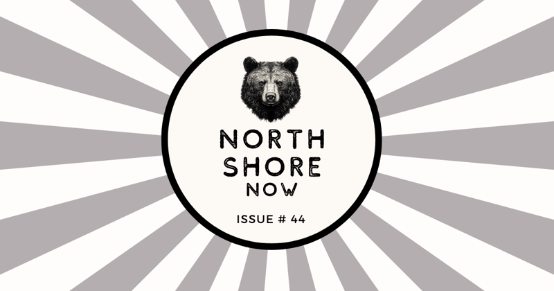🎩 Costume Sale, Pet Portraits & 100+ Artists: Plus 50+ Things to Do on the North Shore this Week